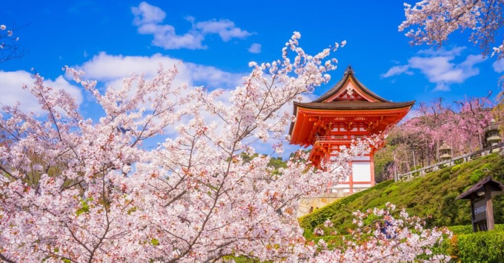 things to do kyoto