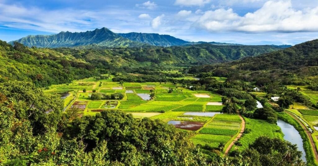 things to do kauai