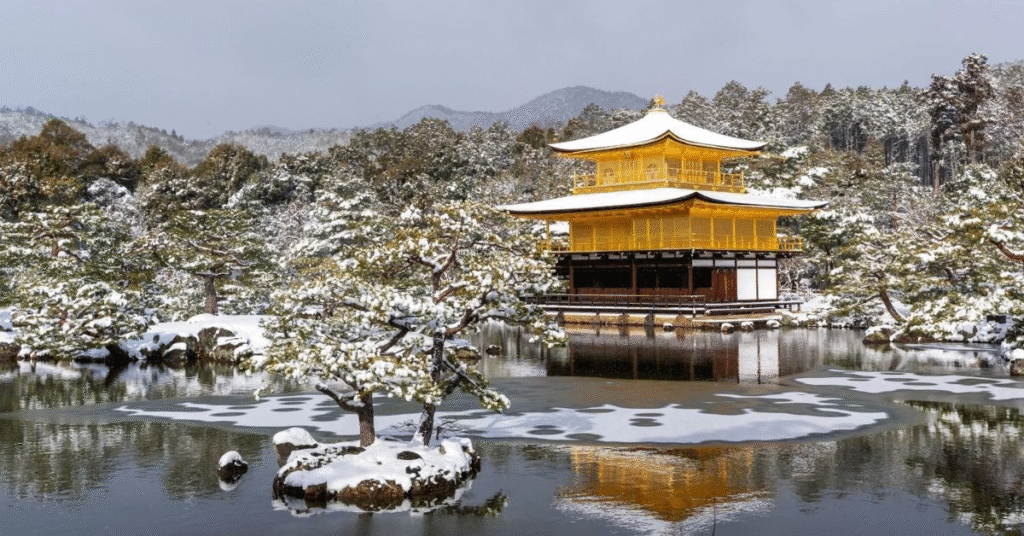 things to do kyoto