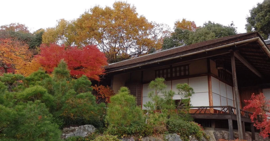 things to do kyoto