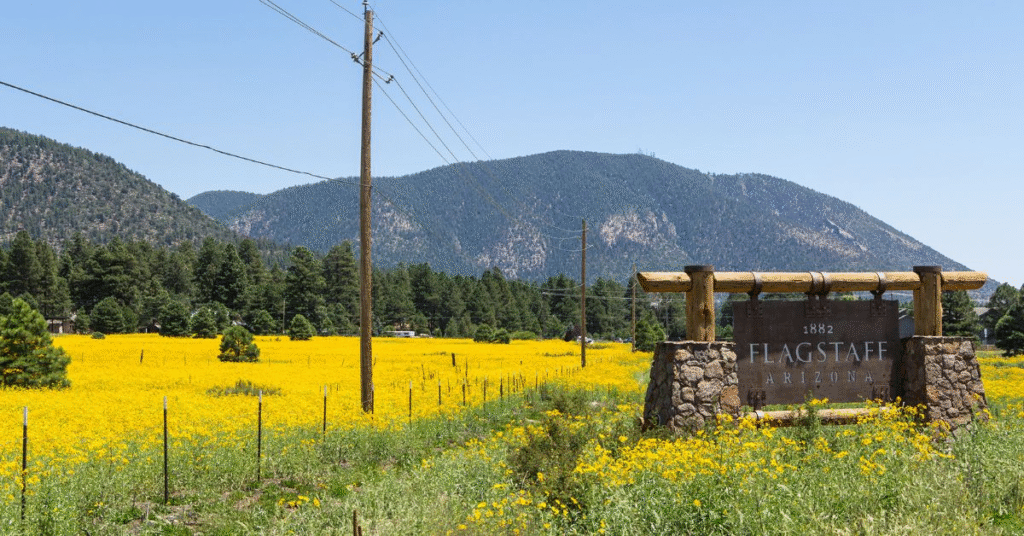 things to do flagstaff