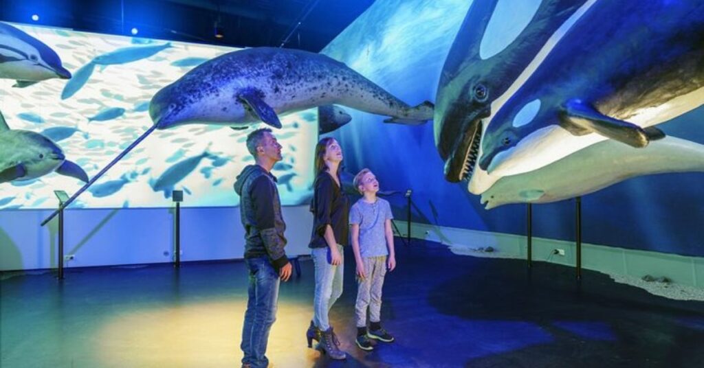 things to do iceland