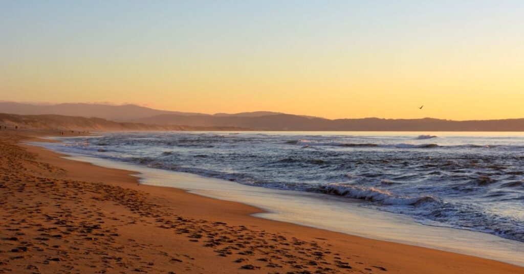 things to do monterey