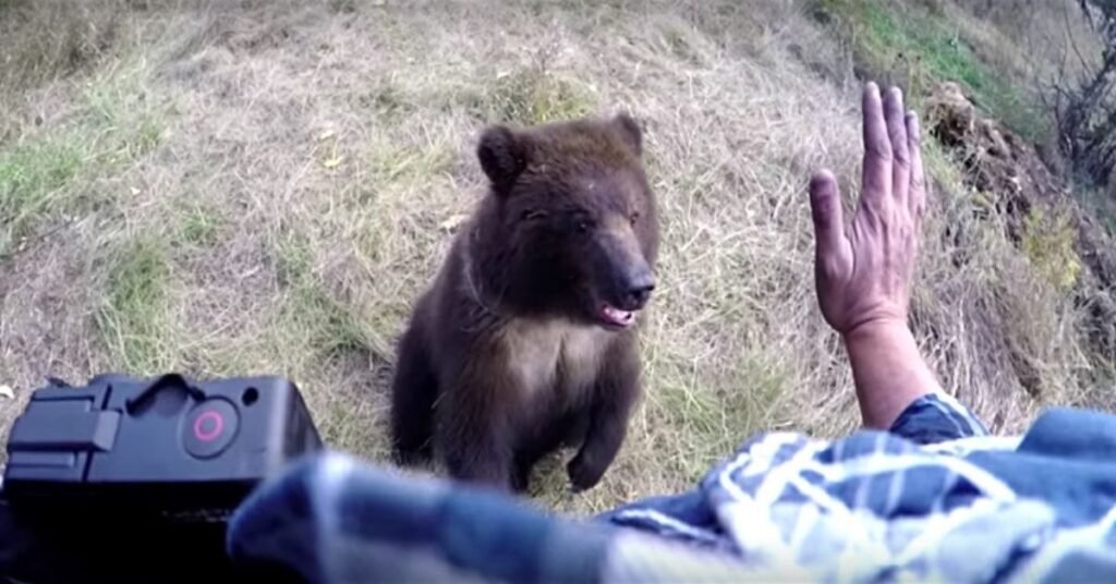 things to do in Bozeman