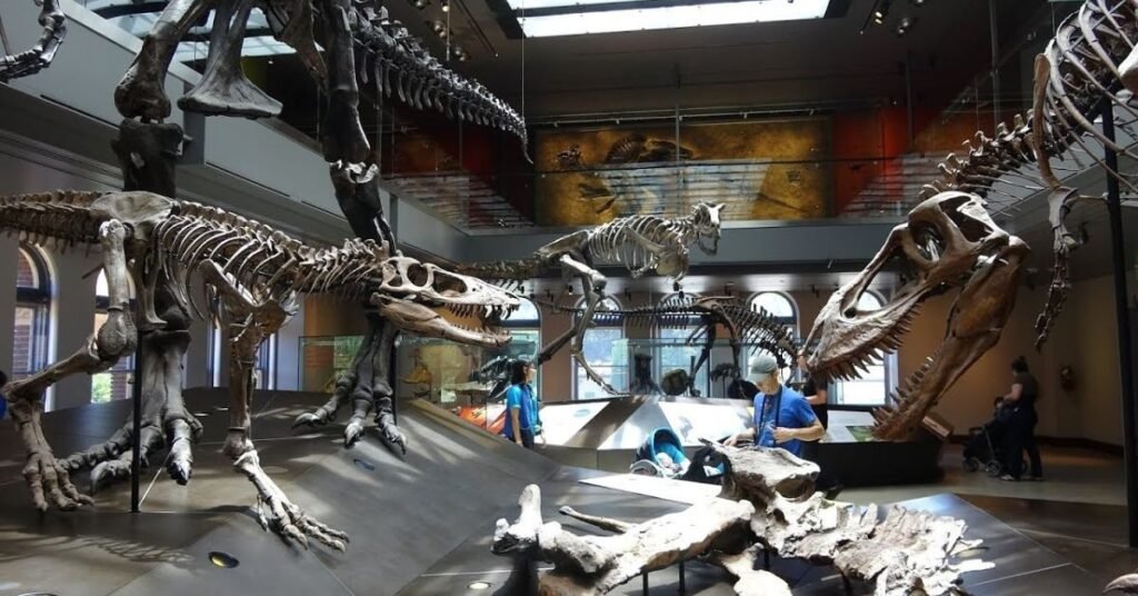 things to do in london