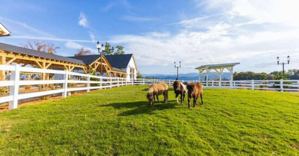 things to do sevierville