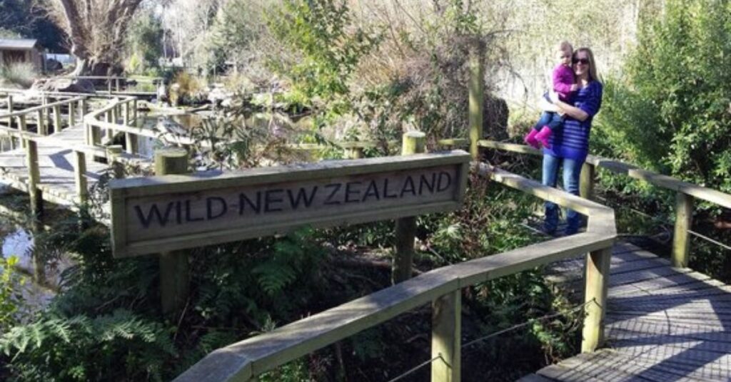 things to do in christchurch