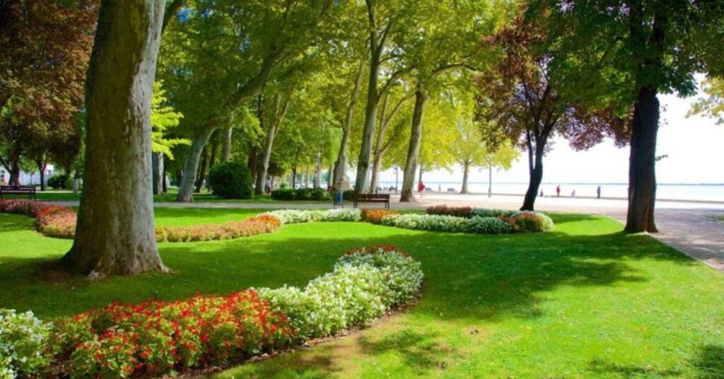 things to do in lugano