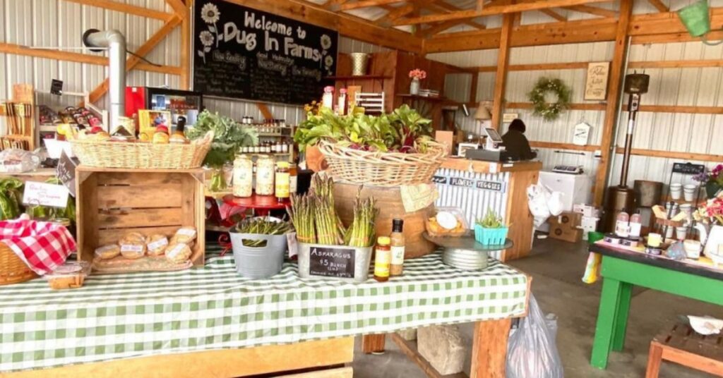 things to do in Riverhead