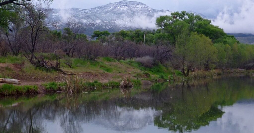 things to do in Cottonwood