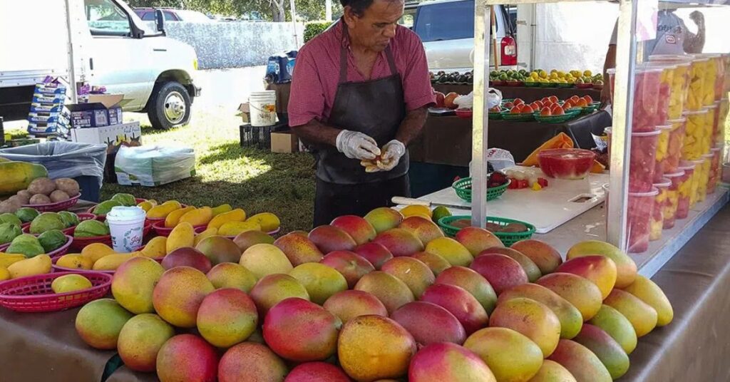 things to do in Marco