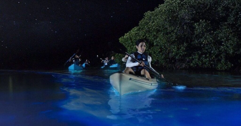 things to do in Vieques