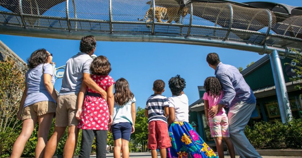 things to do in Bemidji