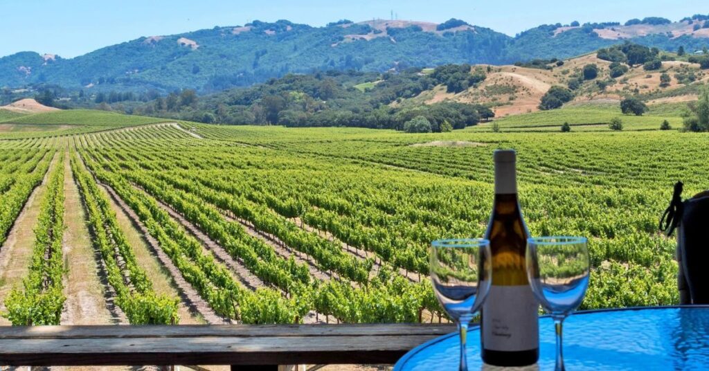 things to do in vallejo