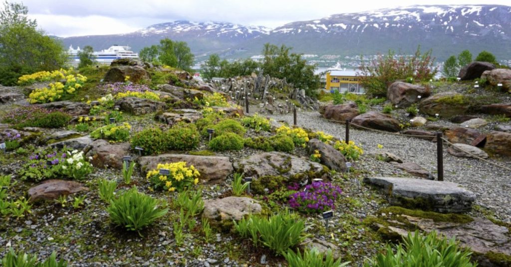 things to do in Tromso