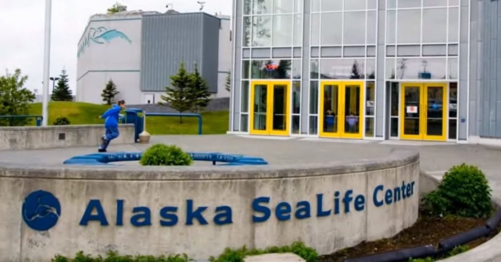 things to do in Seward