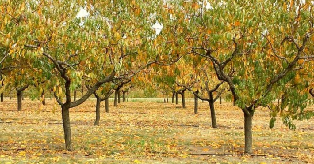 things to do in Spokane