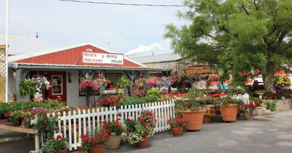 things to do in Owensboro