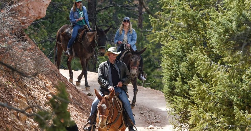 Things to Do in Vail