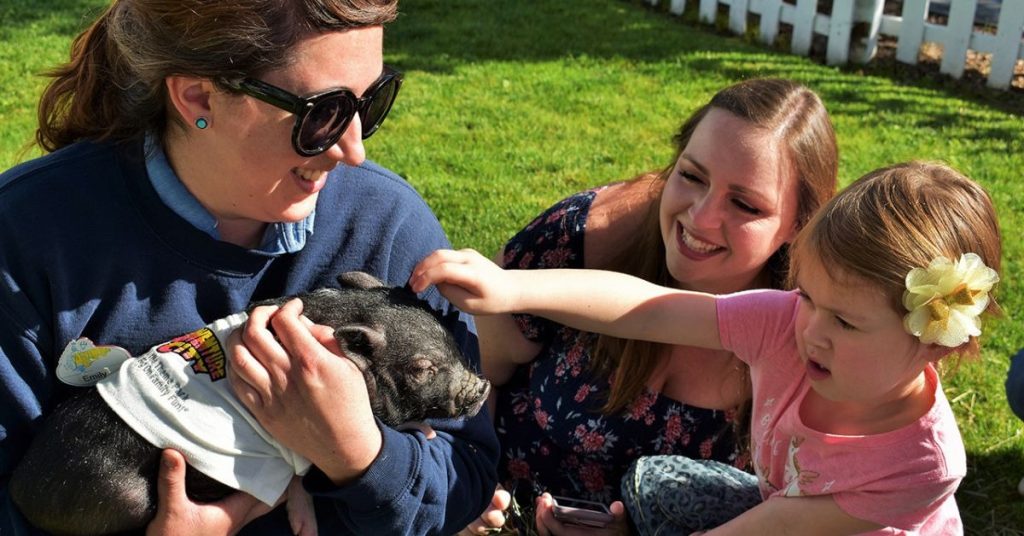 things to do in Pahrump