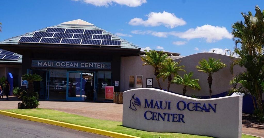 things to do in Maui